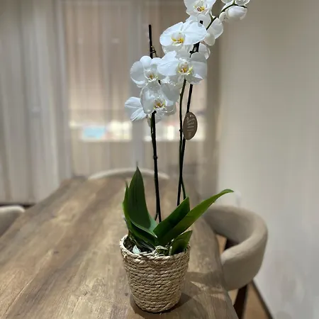 Apartment Stylish 1 Bedroom Apt 5 Min Walking From Skanderbeg Sq